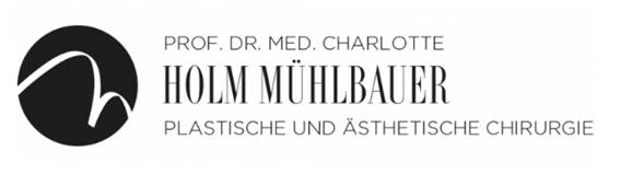 Prof. Dr. Holm Mühlbauer