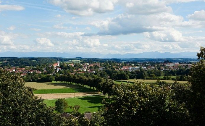 Die atemberaubendste Naturkulisse des Ebersberger Waldes in München