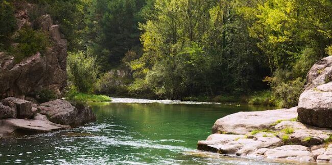 Top 10 der atemberaubendsten Naturschauplätze in München