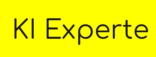 Ki Experte