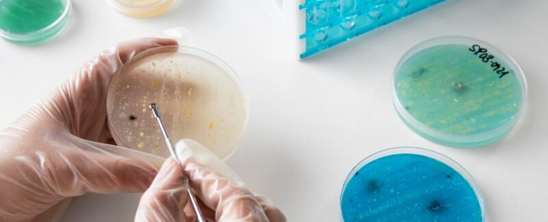 Die 10 besten Mikrobiologen in München