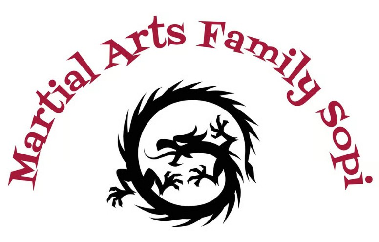Martial Arts Family Sopi Taekwondo-Schulen in München